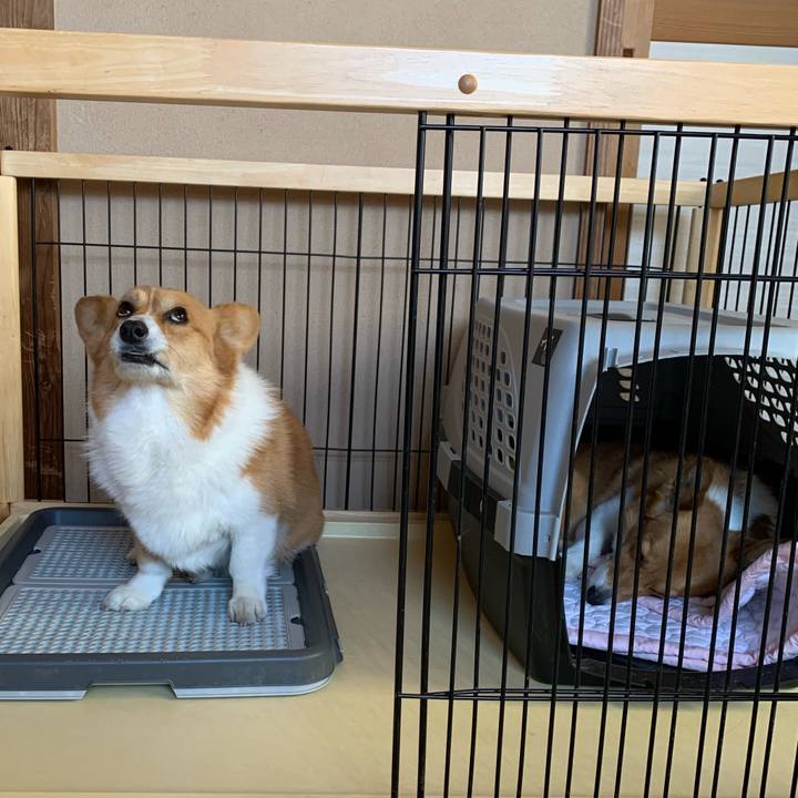 2b2a3edf 66f3 4bca 847f 22382b50b589 1618102110184