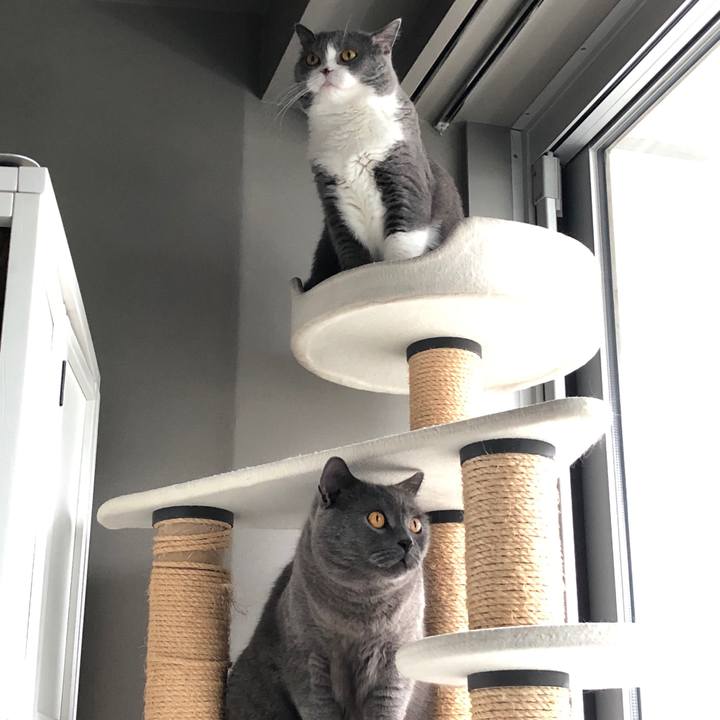 2b2ab3a6 e751 45af 84c8 82773b13b8e3 1537092543055