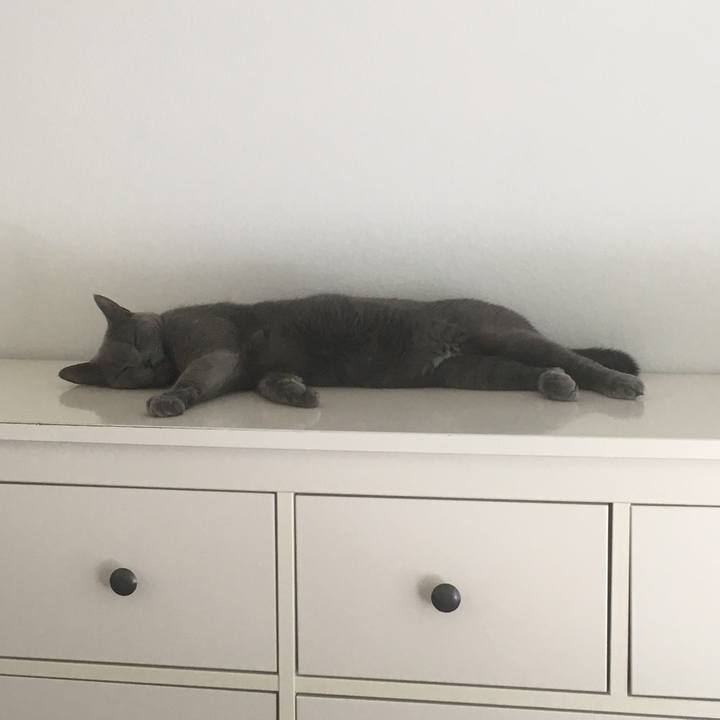 2b2ab768 0f3c 4fc1 9456 75a6f0148592 1661212173538