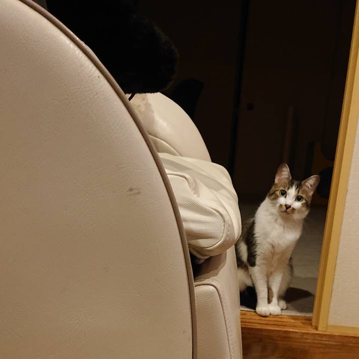 2b2ae469 bf72 496a a782 634c4d3e05bc 1670638655374