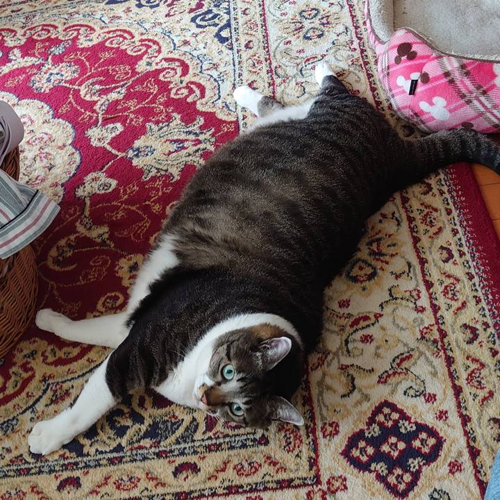 2b2b1a9f 95e0 42be 9b2b c10dfc073210 1609390331364