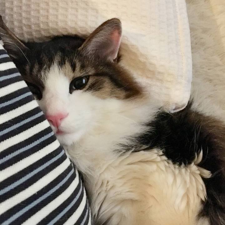 2b2b54b4 bb0f 41dc b3be 29aa61c5578a 1515383263907