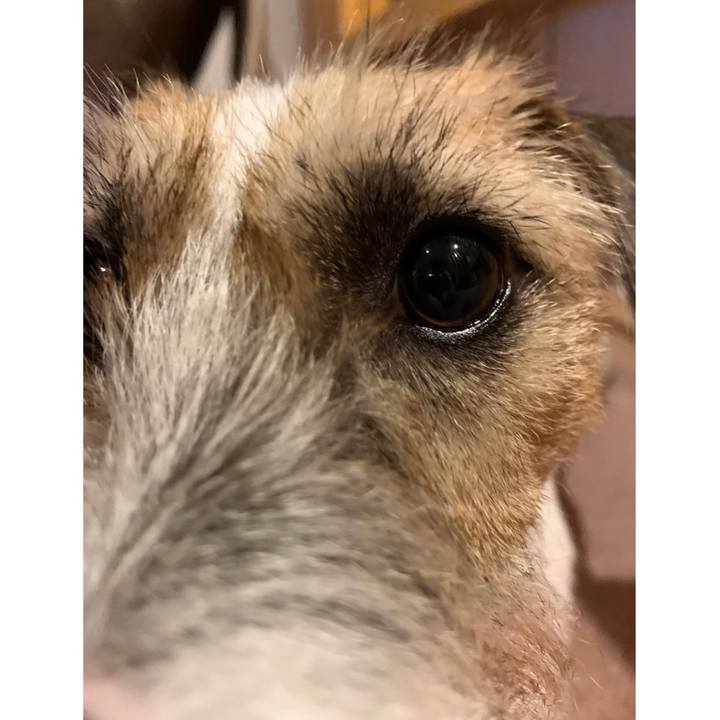 2b2b70b6 0cf5 4cb4 b00d cda776f94731 1598625056479