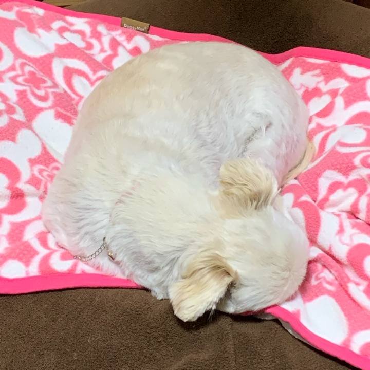 2b2b715c cb8e 4d0a 979a 98c450882849 1636625834377