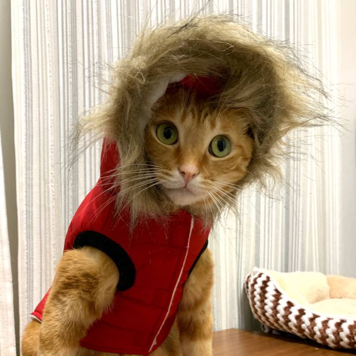 2b2b9171 655b 4999 a333 e6fdf3398d51 1576375277144