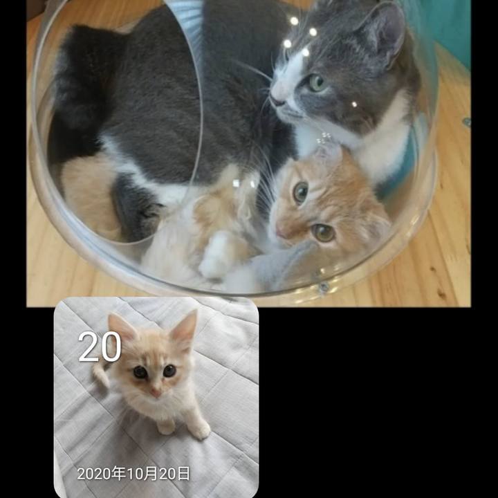 2b2b9c27 338f 4d2b ad25 9fc0101b05d3 1666264480359