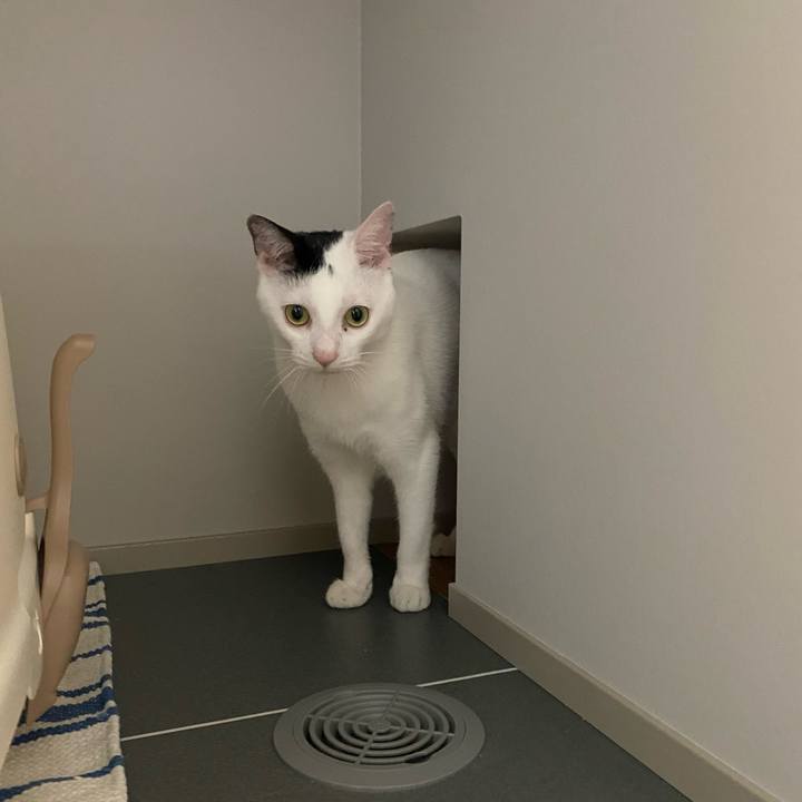 2b2baad7 599f 4557 a255 9fc806cf8ae2 1715238481000