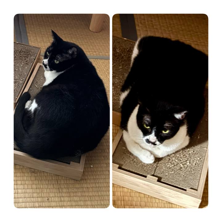 2b2bab5f 3d9a 44aa b544 442acde30bdc 1755735137006