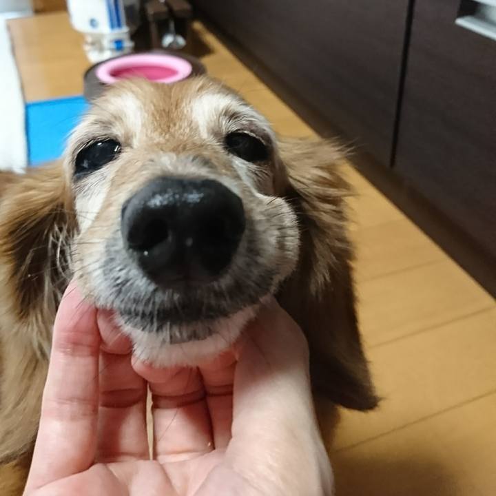 2b2bc780 9708 4aba aae5 30608439de41 1508289998420