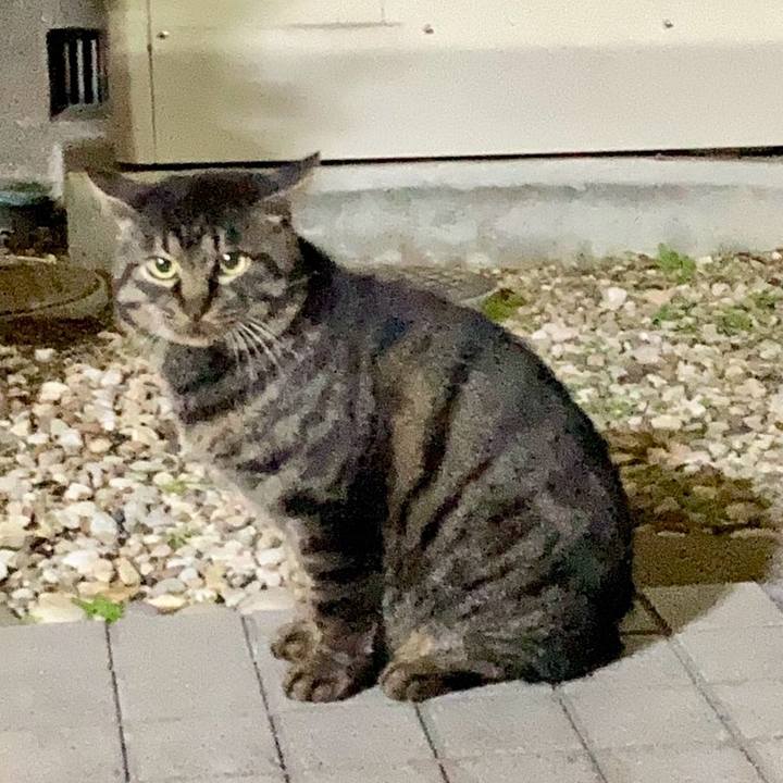 2b2bcb40 f1af 4123 bf54 0c97b8fbfb10 1766548259510