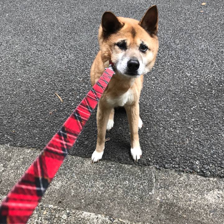 2b2c05a0 0126 46f8 bfd6 bfb17ea9ca8e 1590877786050