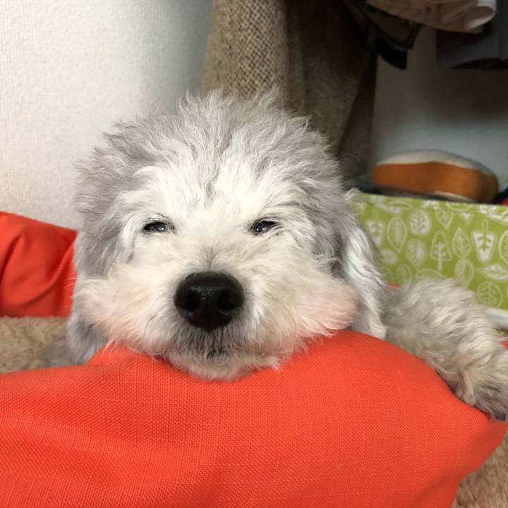 2b2c266d 7f3c 43ce 8d87 7c17ba8becc7 1546905639524