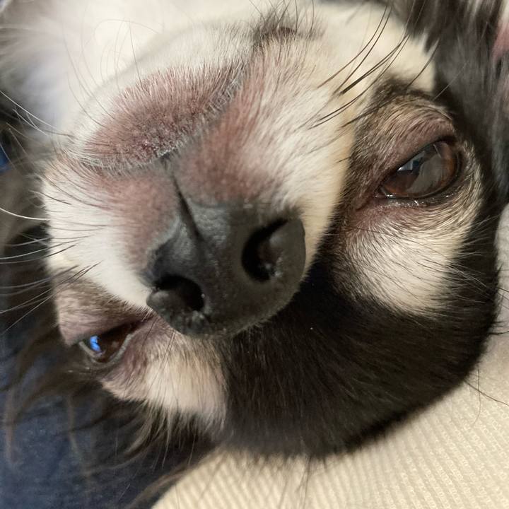 2b2c4608 cd88 46a5 8248 c968bd14b2ff 1667714371078