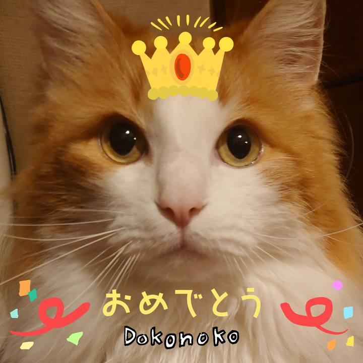 2b2c5510 a167 4e3f a148 166284f4cd76 1685970850480