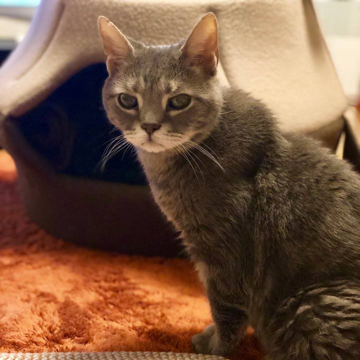 2b2c613d a2df 450f 9d0e 90c5c5f9564d 1563377385101