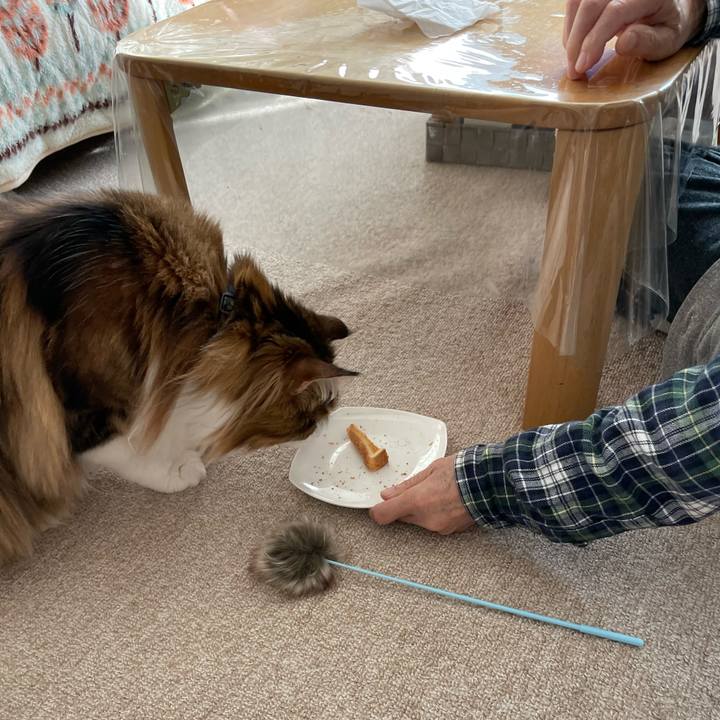 2b2c92bc 14ed 4abe aa24 a25a30ccedf8 1678567318435