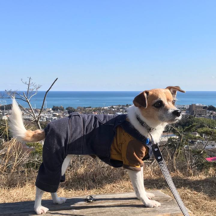 2b2c951d e2d3 4428 8f13 1d8692b96c31 1581155221231