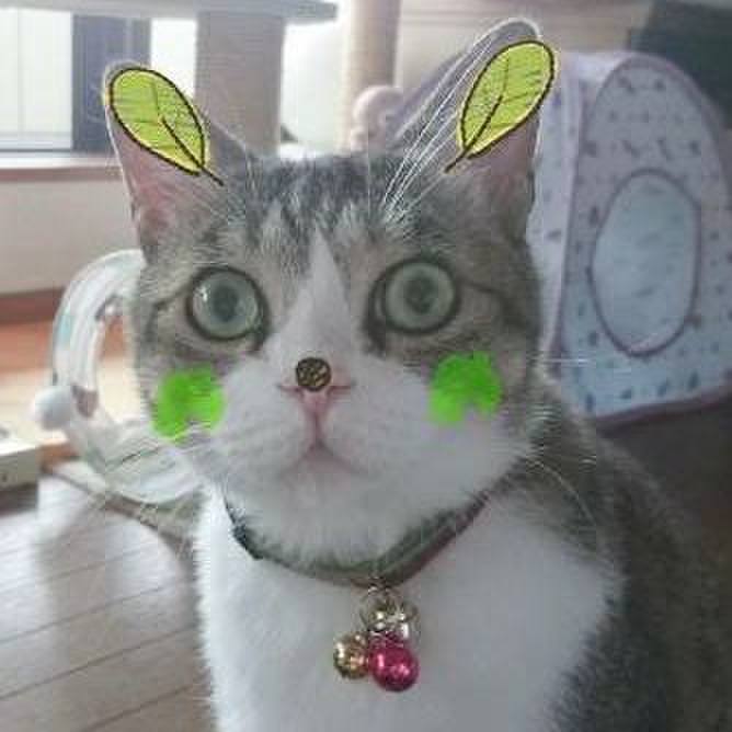 2b2cb11a 10f0 4a1b 8024 23a7fb35f689 1562584811026