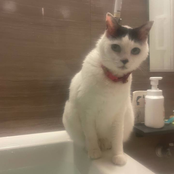 2b2cfd1a 805f 4557 af53 16daf80547a3 1621684104372