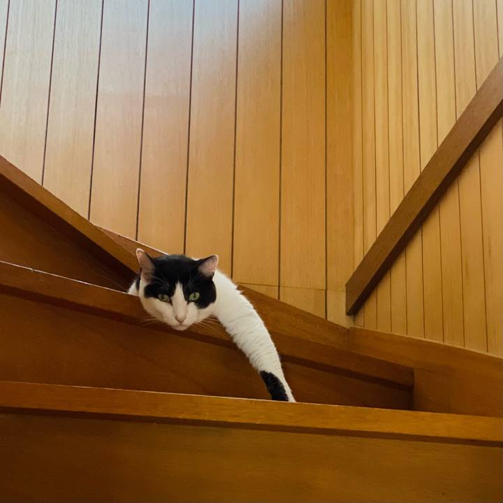 2b2d03c0 858e 4255 94eb ea0a04b2f67c 1658285779383