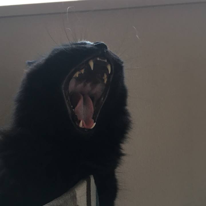 2b2d557a 9cf6 4c7b a9fb ef3ca67a0db6 1531052893723