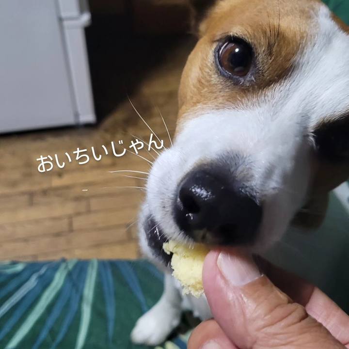 2b2d5c2d 838e 4e82 aff2 5ab67eccbd9c 1717368790030