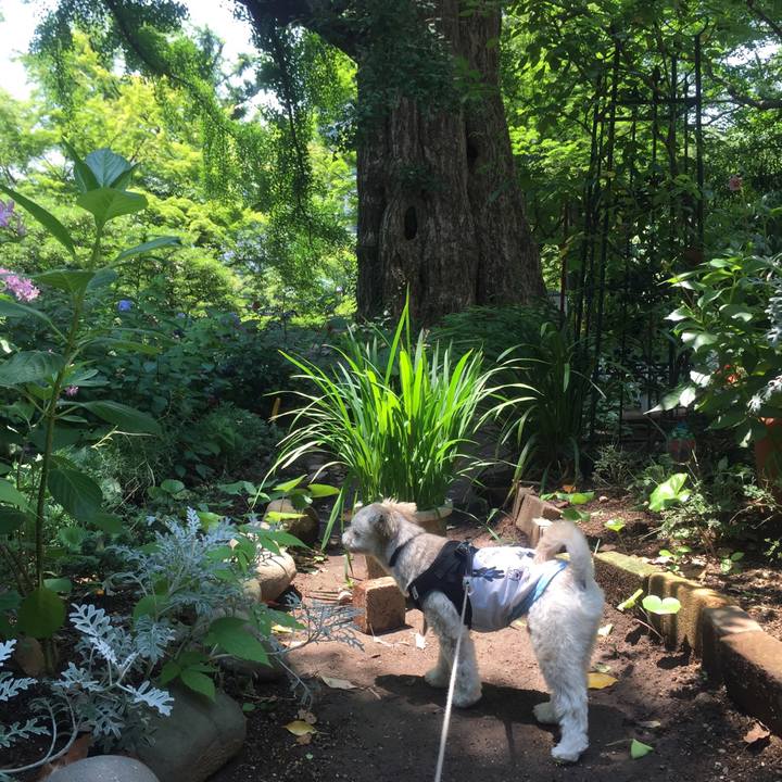 2b2d6f3c db28 4d36 b32f 5df31b762ac5 1530007254109