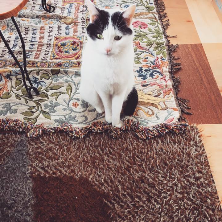 2b2d7bae 8337 4630 938d d17148a2a942 1575862054787