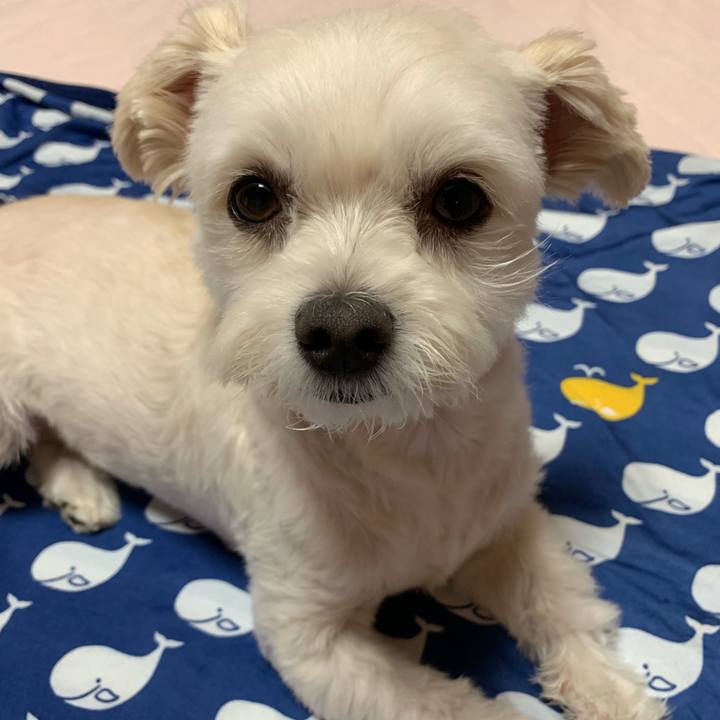 2b2db0af c7c7 4a5b bb08 ec9b3a89c745 1568119033313