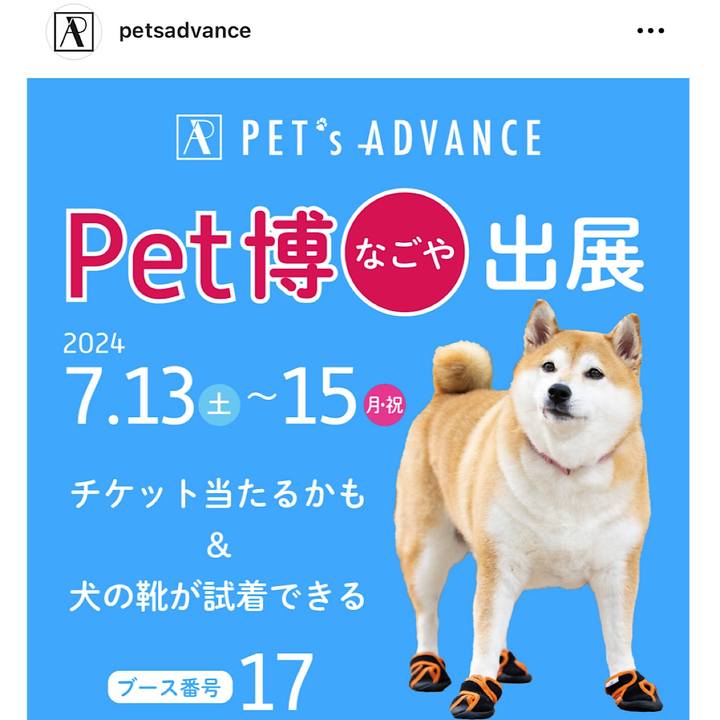 2b2dcd3c 34e7 4935 935e 3ba8fe41167f 1719058654006