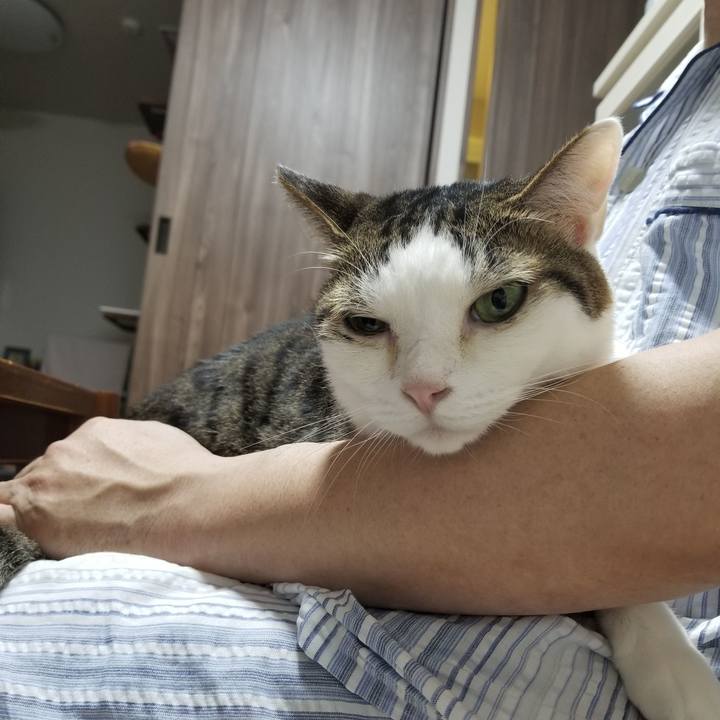 2b2de299 e14c 44e7 8901 bc57710a6bea 1621425726079