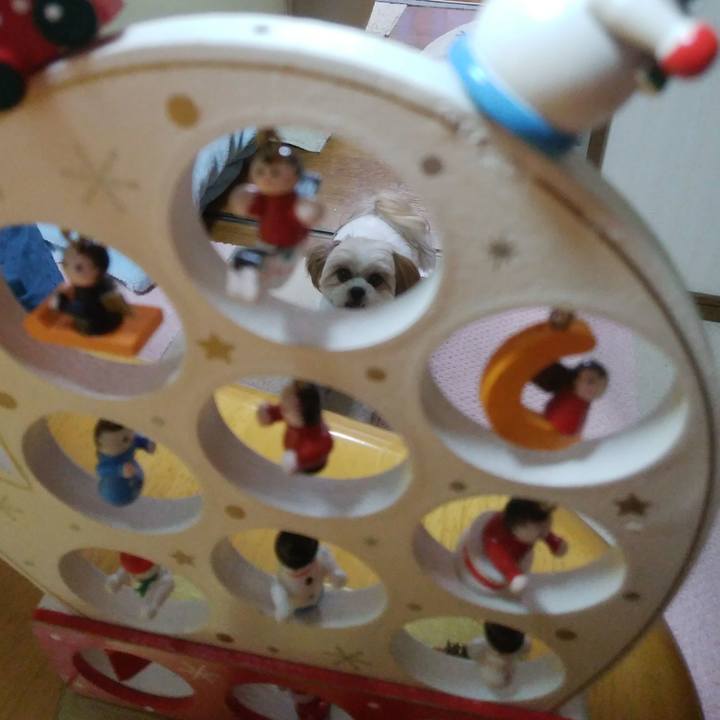 2b2e1550 bc41 48f0 9984 24d0144daf7f 1513929698597