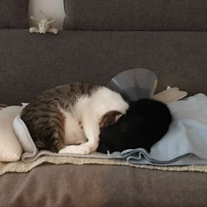 2b2e2d67 5af8 4796 9558 7e3ee01b8547 1587439811539