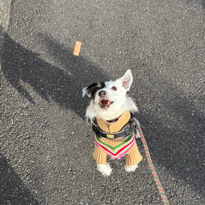 2b2e3c47 c3ac 4e8b b753 ea92d9b51b7d 1766102250529