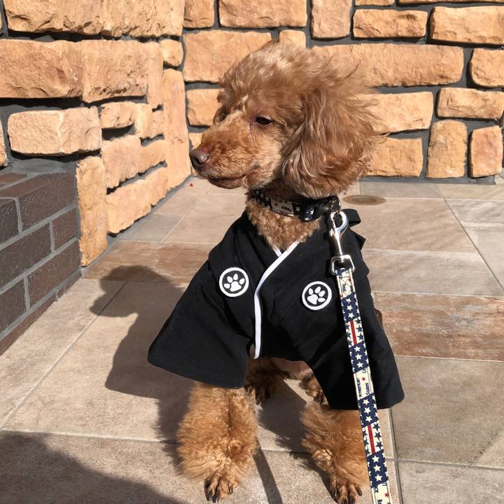 2b2e823d 093d 41b3 bc8b 11687a5ede39 1609485253848