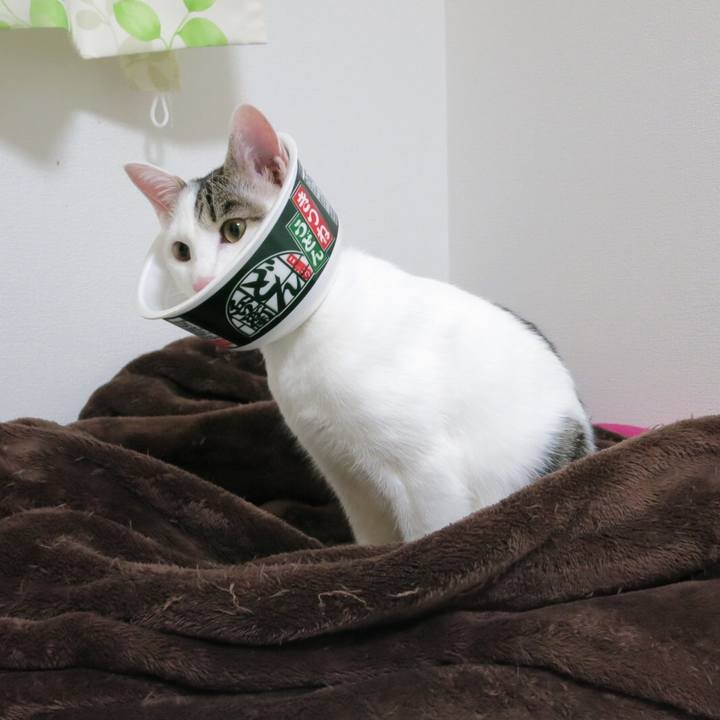 2b2ea14d e321 409c b742 7f2f39bd910e 1613445298525