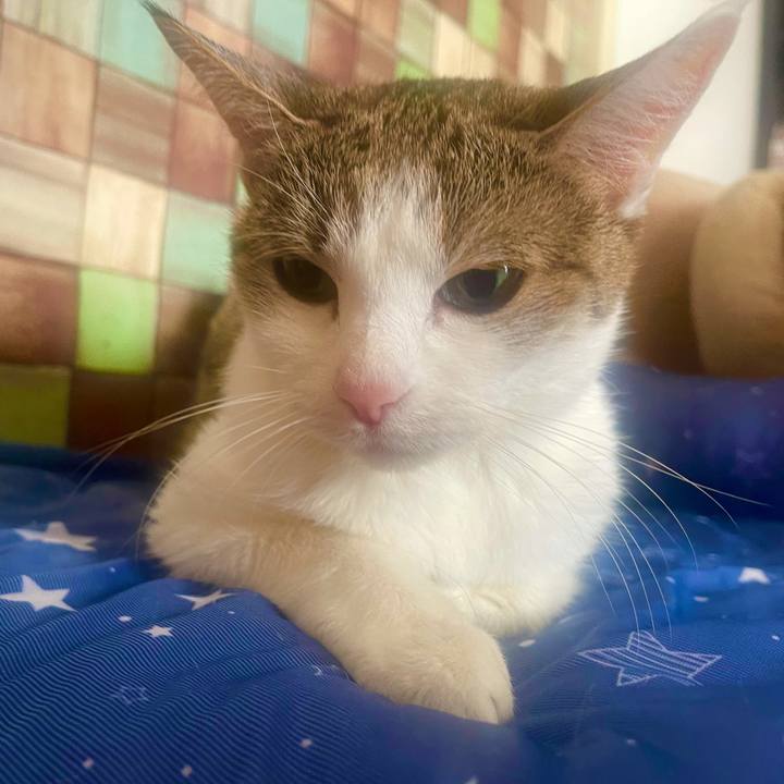 2b2eb5e0 7c62 40ba 9769 9ab67674334e 1637548021774