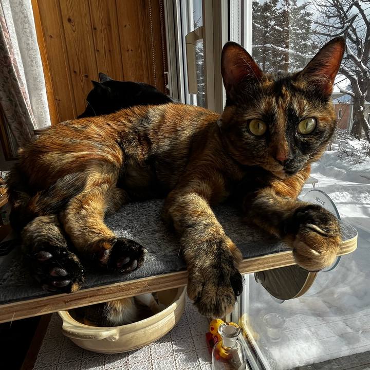 2b2ee36a 674d 4eea af16 fd1046f4625b 1709287821143