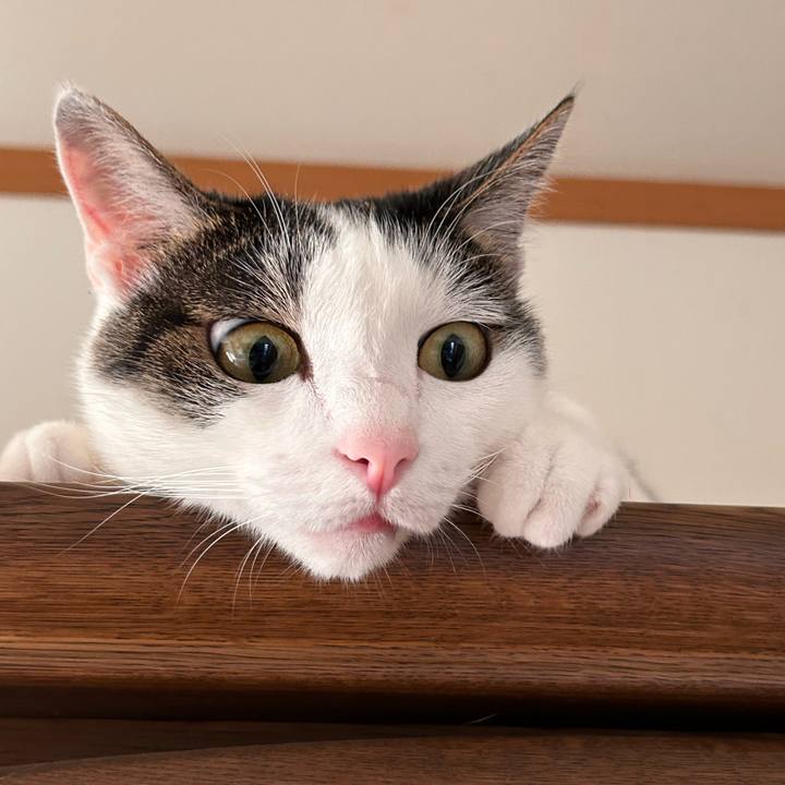 2b2f02bc 6496 4a43 8f89 32bd65ac60b3 1722127400636