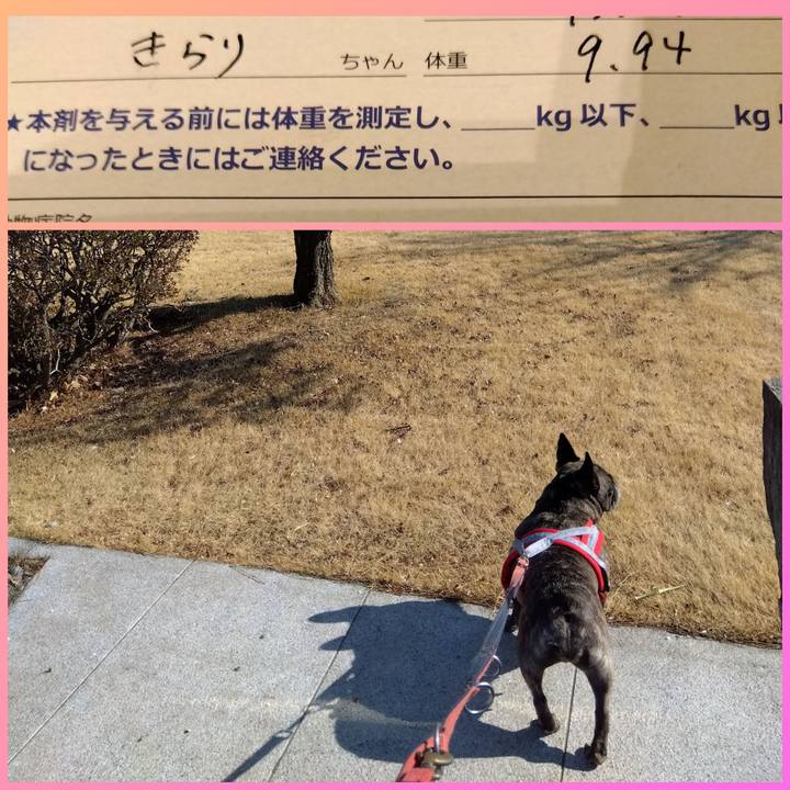 2b2f072b c15f 4e18 8483 8a9152b09835 1743201568195