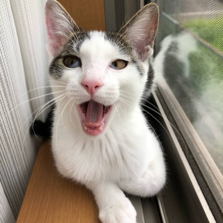 2b2f1a35 e3ec 4e33 bbb9 b0c0662f2e5c 1569915560924