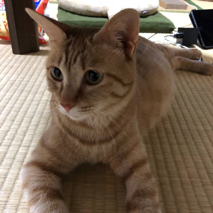 2b2fa968 de69 4527 874c f36ddb80997a 1574864878484