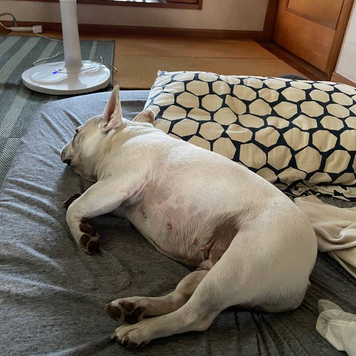 2b2fac91 a224 4bde b480 9bbbaa78fc1a 1753396704149