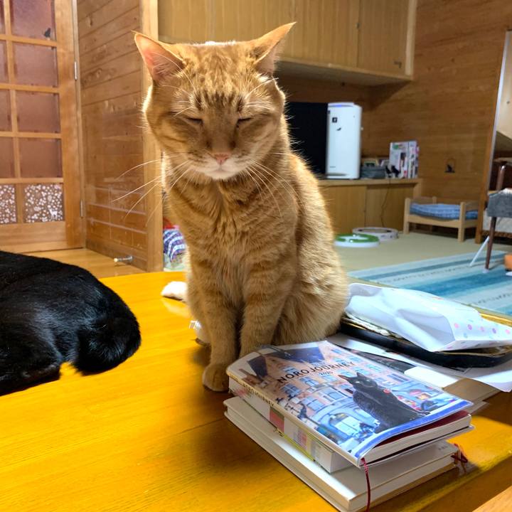 2b2fd8b0 0e17 4e36 a65e 18c3b694e83a 1591879733750