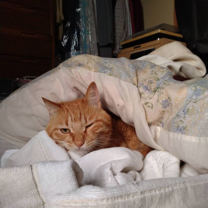 2b2fdb26 b05d 4fc6 bb04 83efb6e9213f 1717020499949