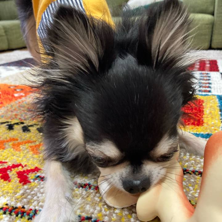 2b2feca2 a1d0 4c88 ba81 5bde8e5293e1 1681657350326