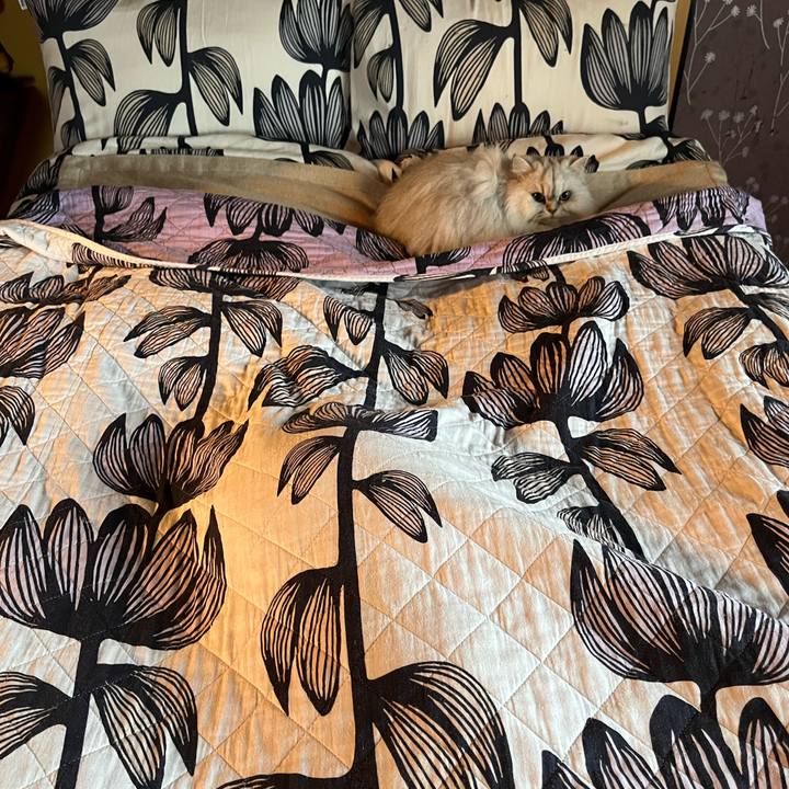 2b303ffe a219 4fa2 882a 5706533ed426 1639529608607