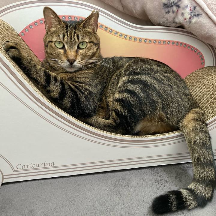 2b30506b 0e68 488d 9df6 82010e098ba1 1670732728616