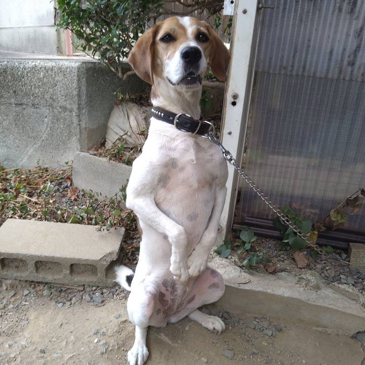 2b306ac2 539d 4744 84a6 831c40da722f 1664550057032