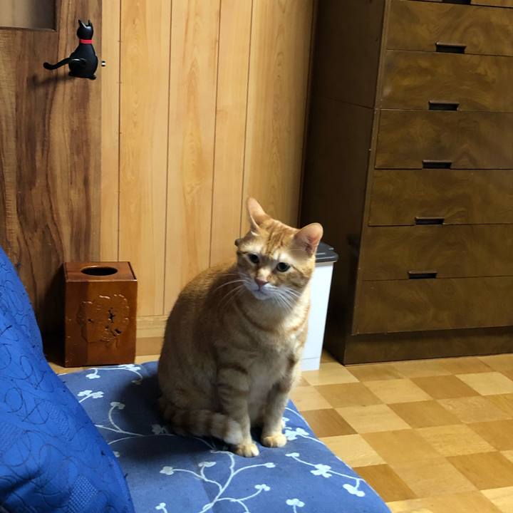 2b307626 95f0 424d 828e 68b04100967c 1568894370630